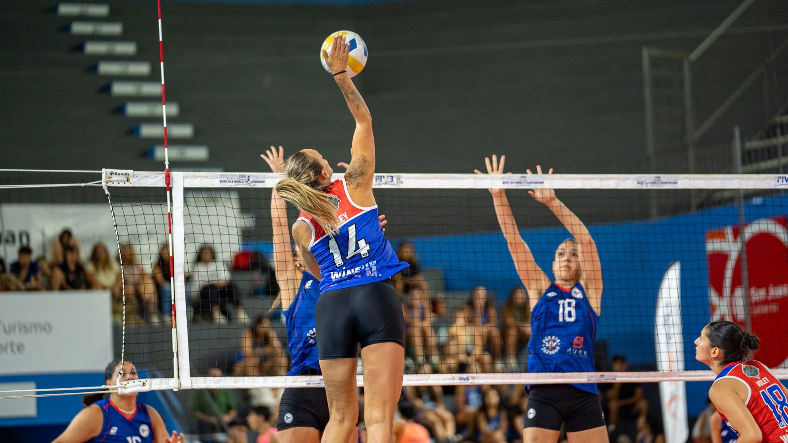 Women's indoor volleyball spike during a competitive match — the mark for programs.